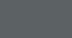 Victory Gray